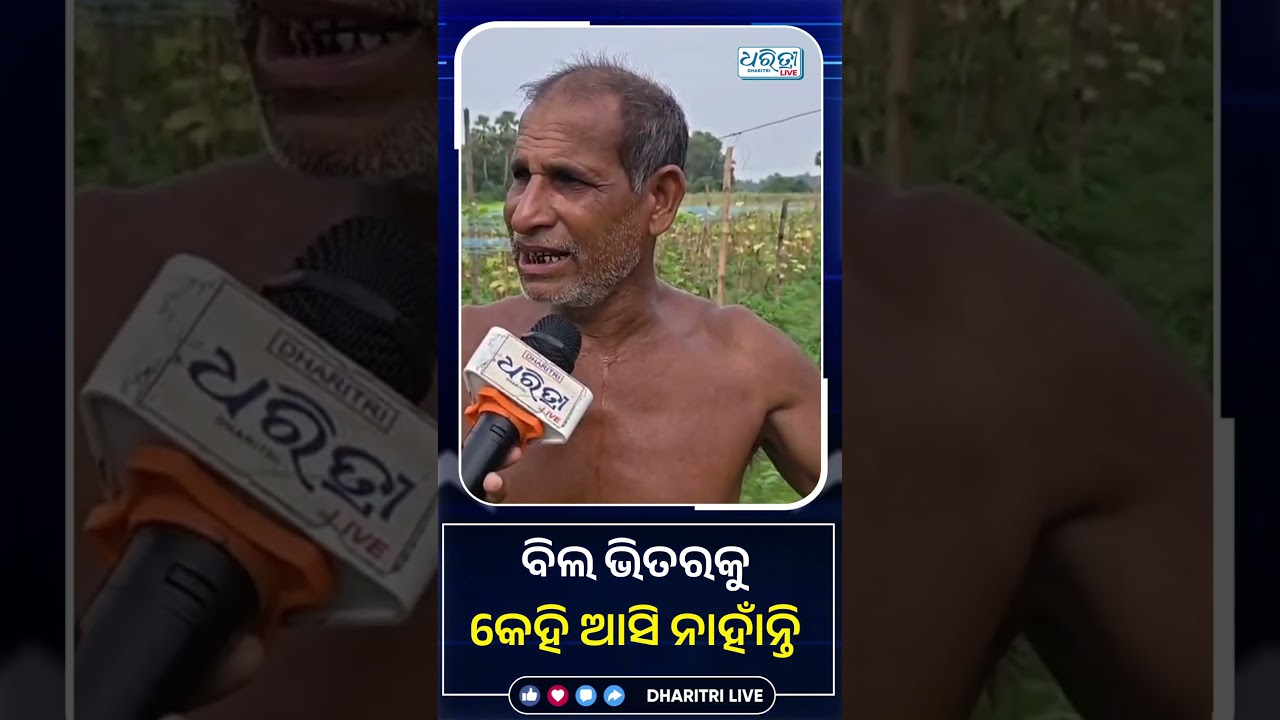 ବନ୍ୟାରେ ସବୁ ଫସଲ ବୁଡ଼ିଗଲା | Odisha Flood | Heavy Rain | Farming