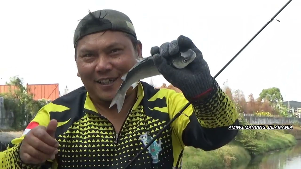 MANCING IKAN BELANAK TEPAT DI SARANG NYA