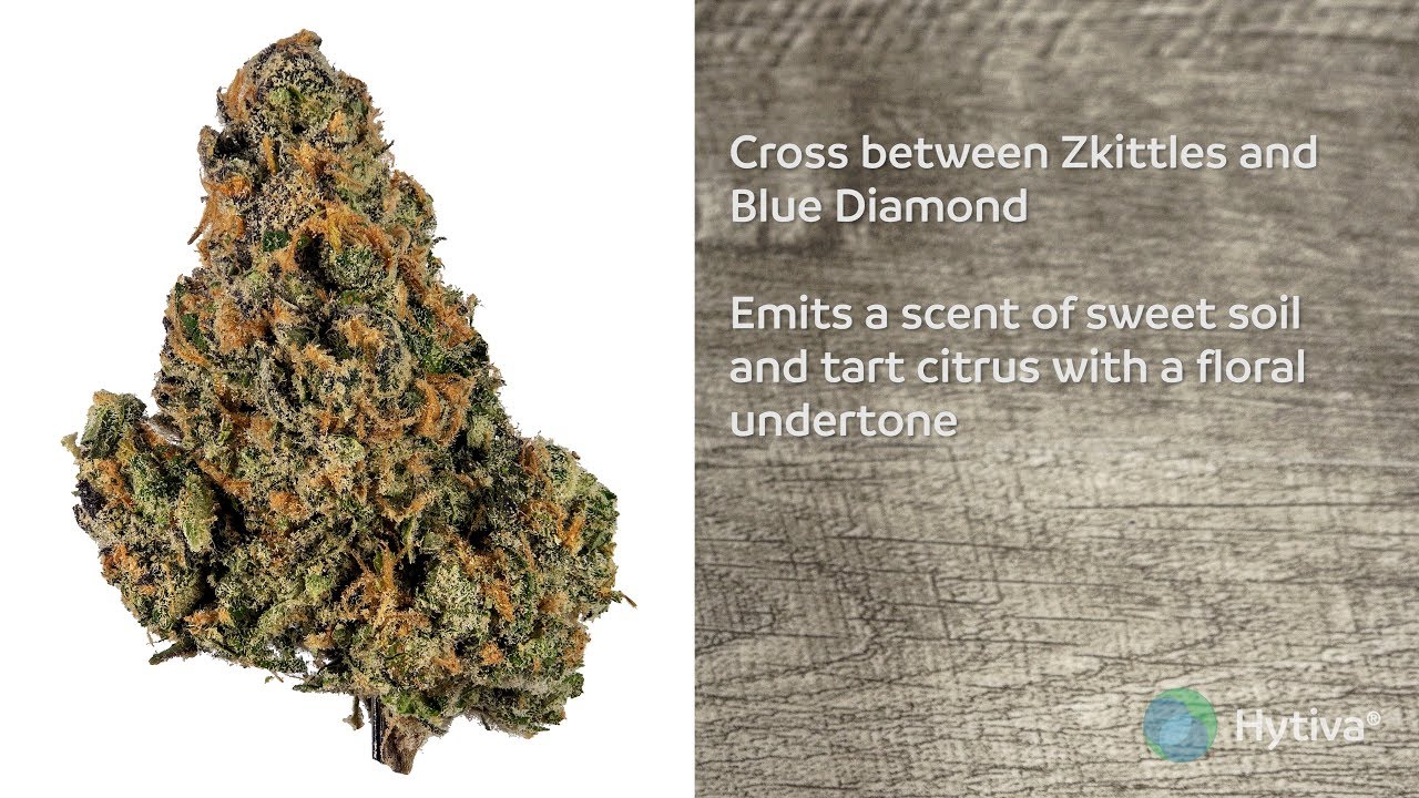 Strain Review: Blue Zkittlez