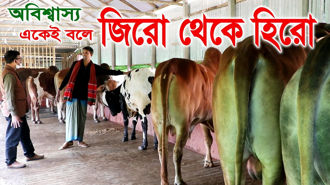 একেই বলে পরিশ্রমের ফল । মাত্র ২টা দিয়ে শুরু এখন তার গরুর খামারে বিশাল সাইজের ১০টা ষাড় গরু Cow Farm