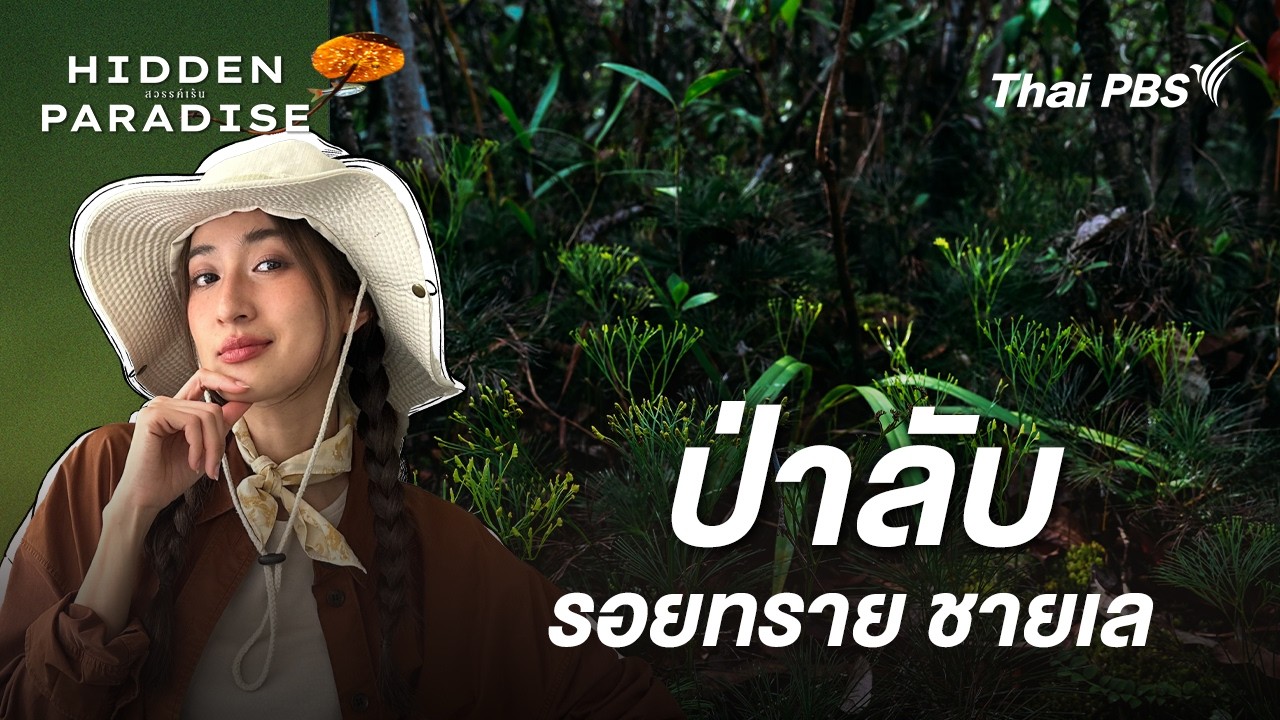 ป่าลับ รอยทราย ชายเล | Hidden Paradise สวรรค์เร้น