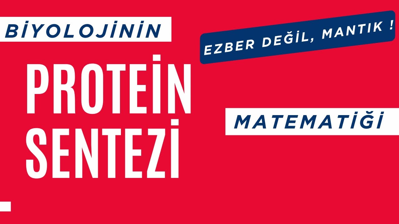 Protein Sentezi Basamakları Ve ÖSYM' nin Mantığı #yks #ayt #biyoloji
