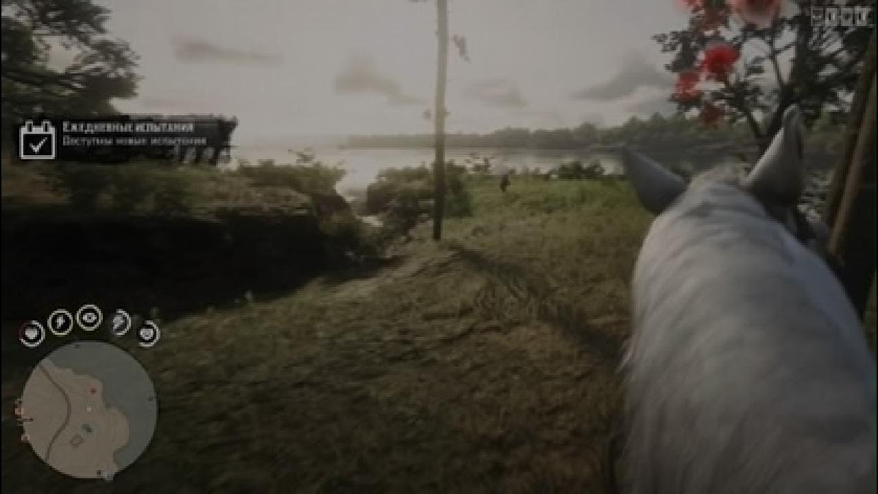 Red Dead Redemption 2_20260220220325