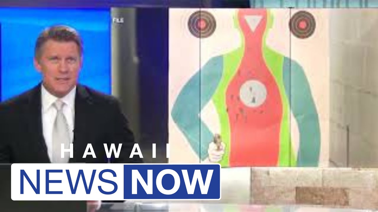Gun owners accuse HPD of intentionally slowing review of concealed firearm permits