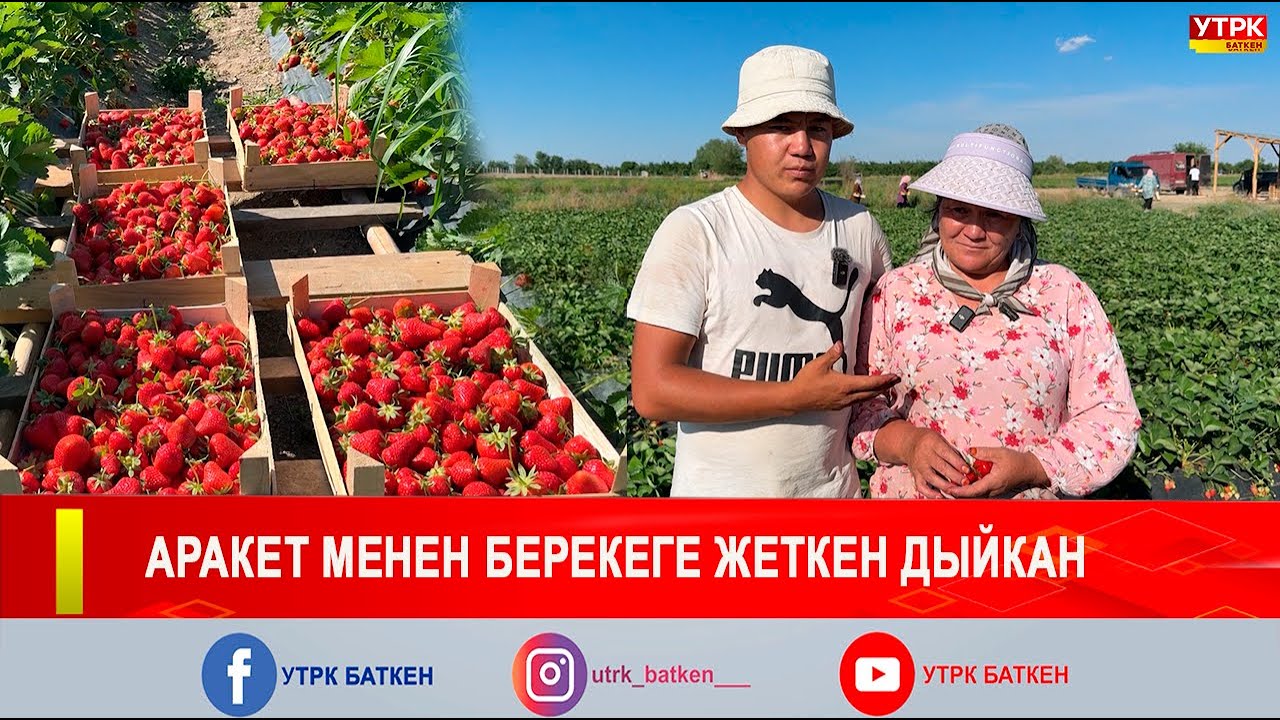 ЖАРАТМАН: // АРАКЕТ МЕНЕН БЕРЕКЕГЕ ЖЕТКЕН ДЫЙКАН