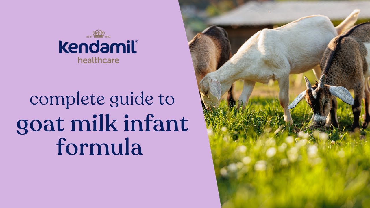 Kendamil's expert guide to goat milk infant formula