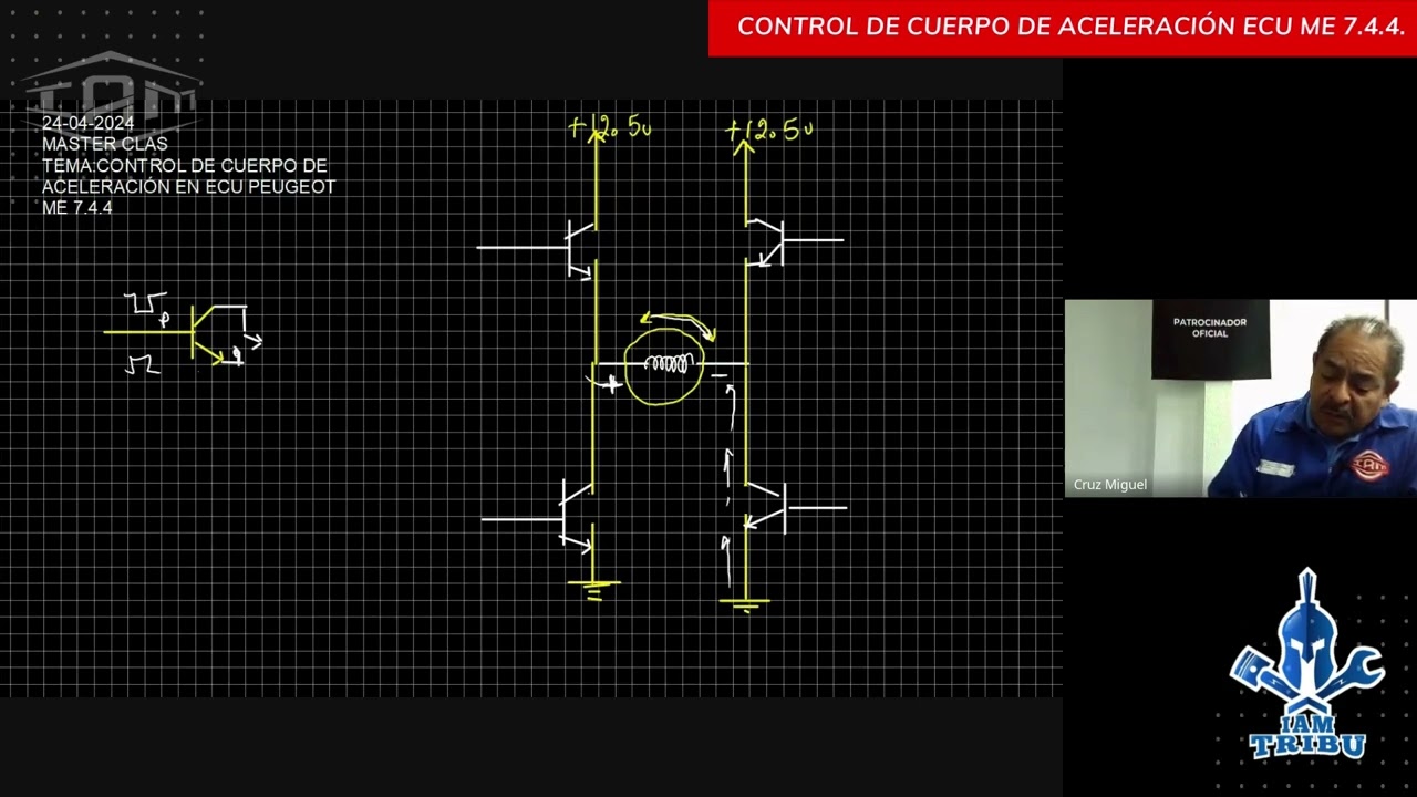 ECU Peugeot 7.4.4 - Control de Cuerpo de Aceleración.