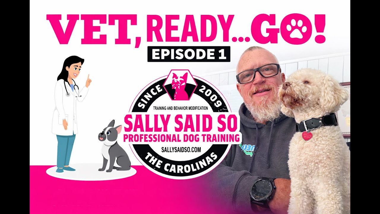 Vet, Ready...GO! Episode 1