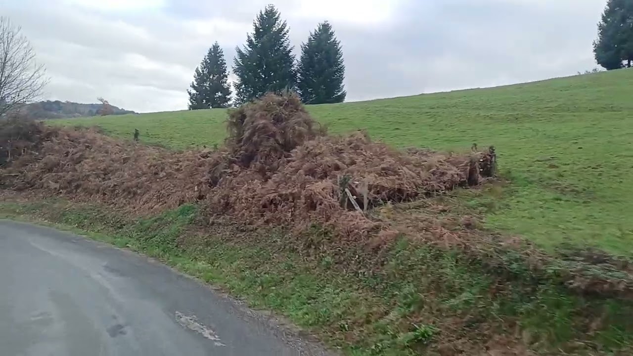 Driving a truck in a small narrow road. ALBUSSAC, FRANCE
