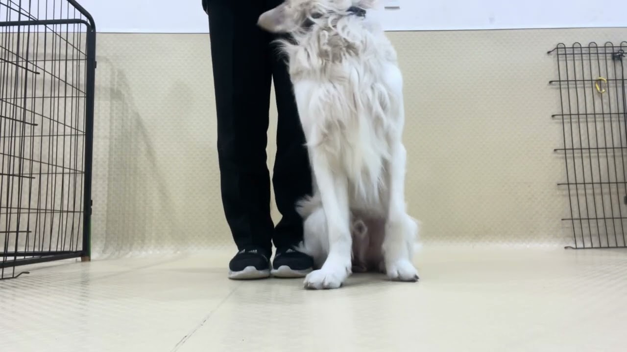 2026.1.30 トレーニングの様子