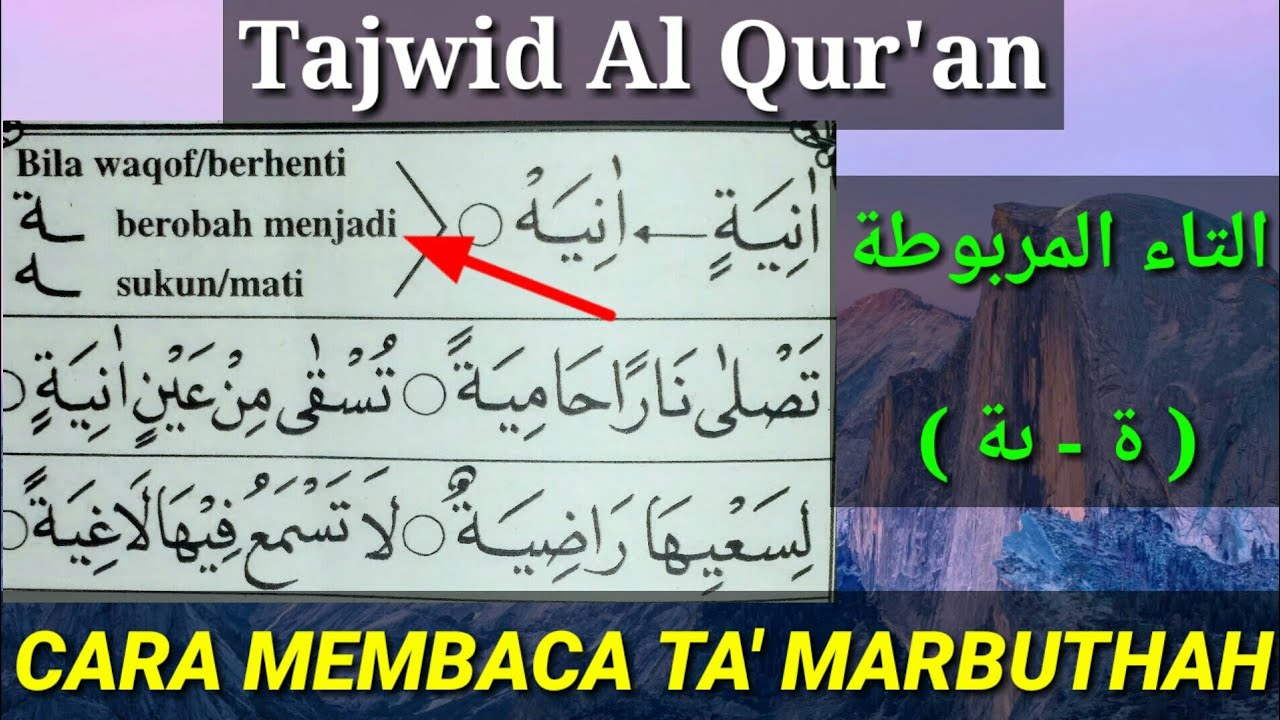 ta marbutah di akhir ayat | cara membaca ta marbutah ketika waqof dan wasol