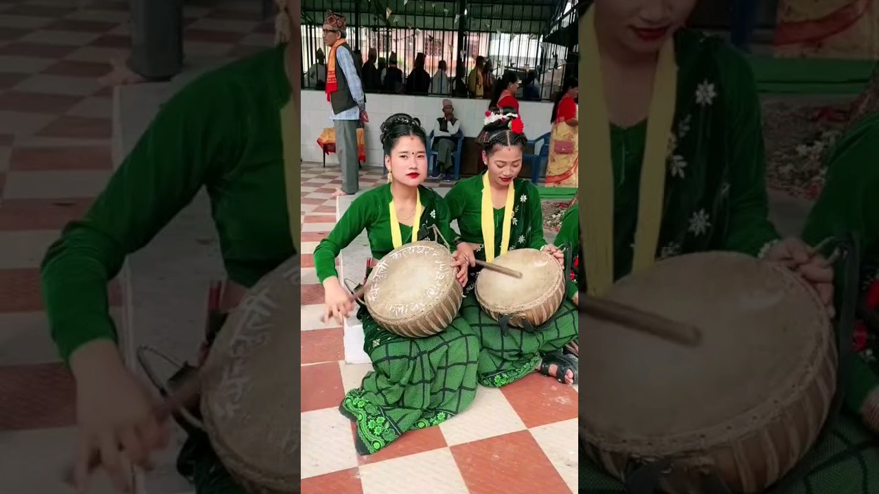 tiktok trending reel nepali panche baja music #shorts #shortsfeed #panchebaja