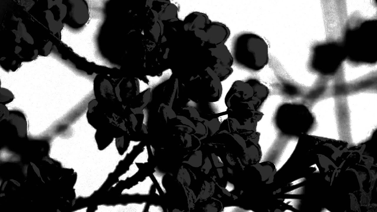 Eternal Emanations 