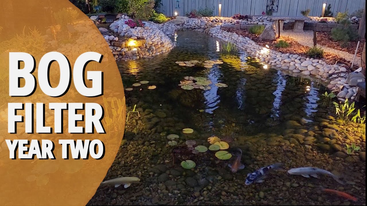 Bog Filter Year Two