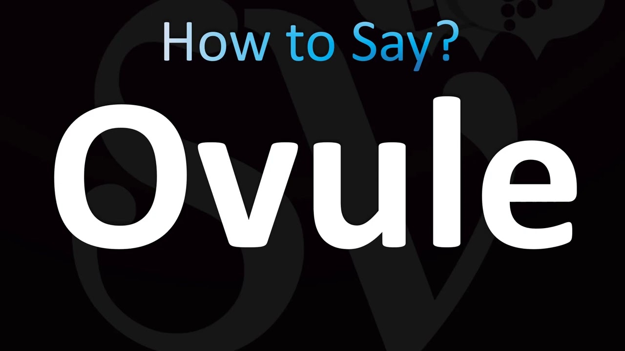 How to Pronounce Ovule (CORRECTLY!)