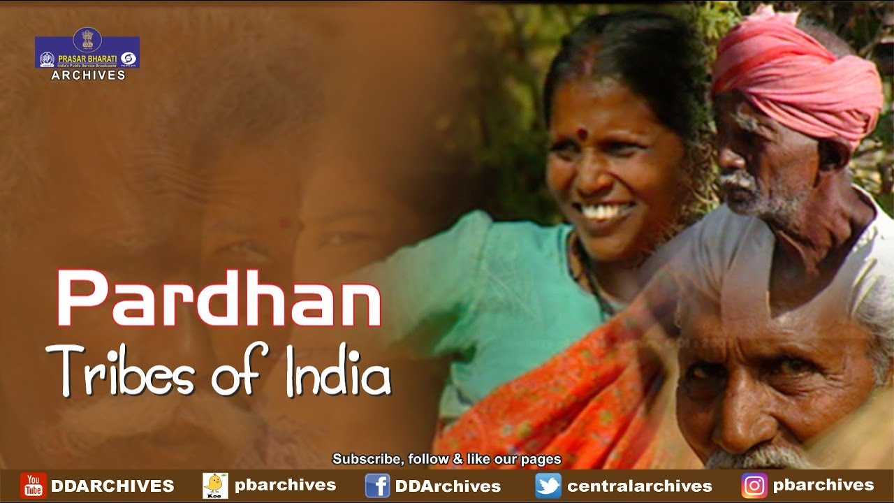 Pardhan Tribe | Tribes of India