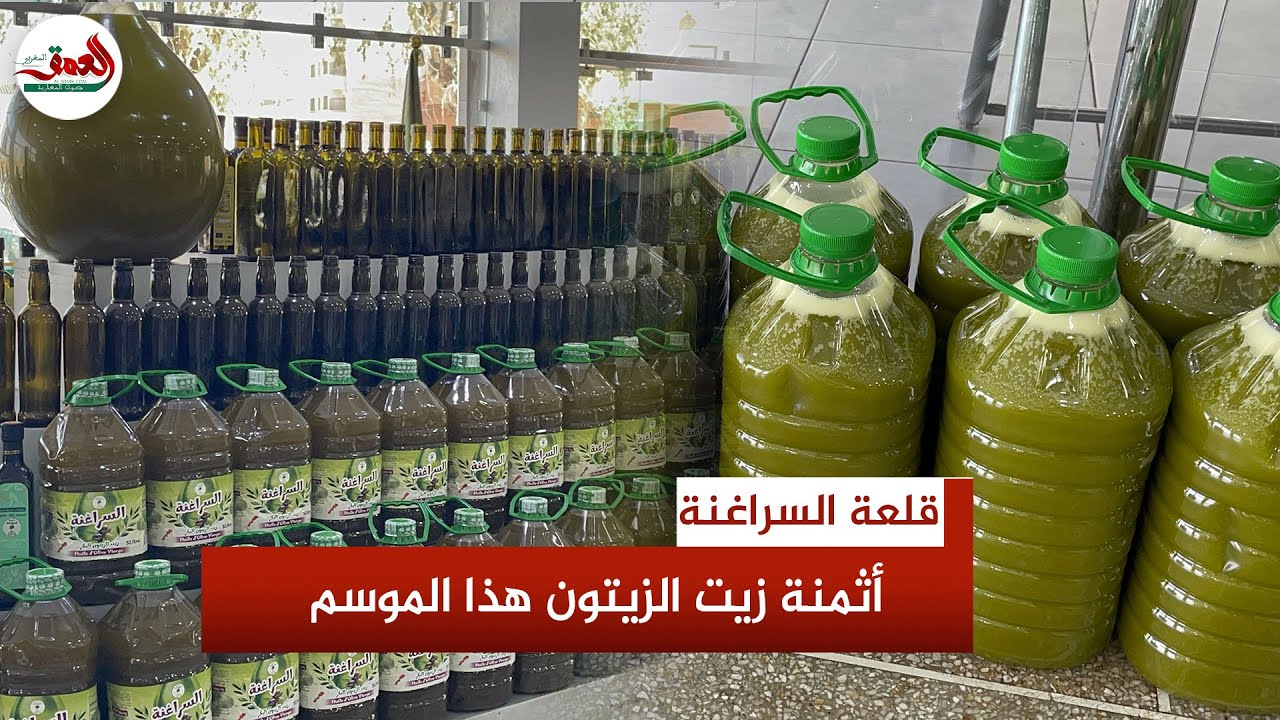 زيت الزيتون بـ 70 درهمًا.. مهني يؤكد وفرة الإنتاج هذا الموسم ويشرح مراحل العصر التقليدية بالسراغنة