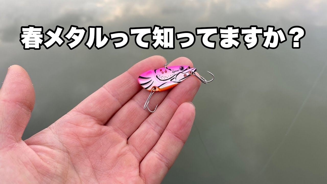 実は春にめちゃくちゃ釣れるメタルバイブ、その釣り方・使い方を釣りながら解説します。