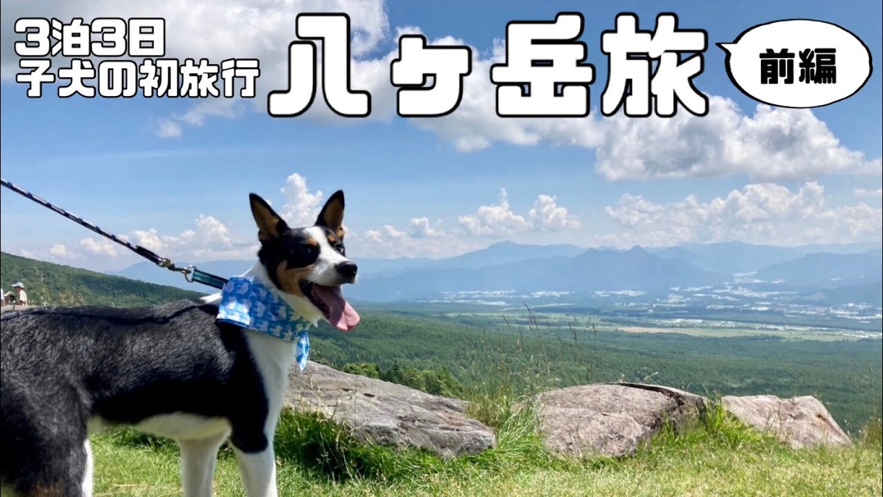 【子犬の初旅行】3泊3日の八ヶ岳旅～前編～【清里】