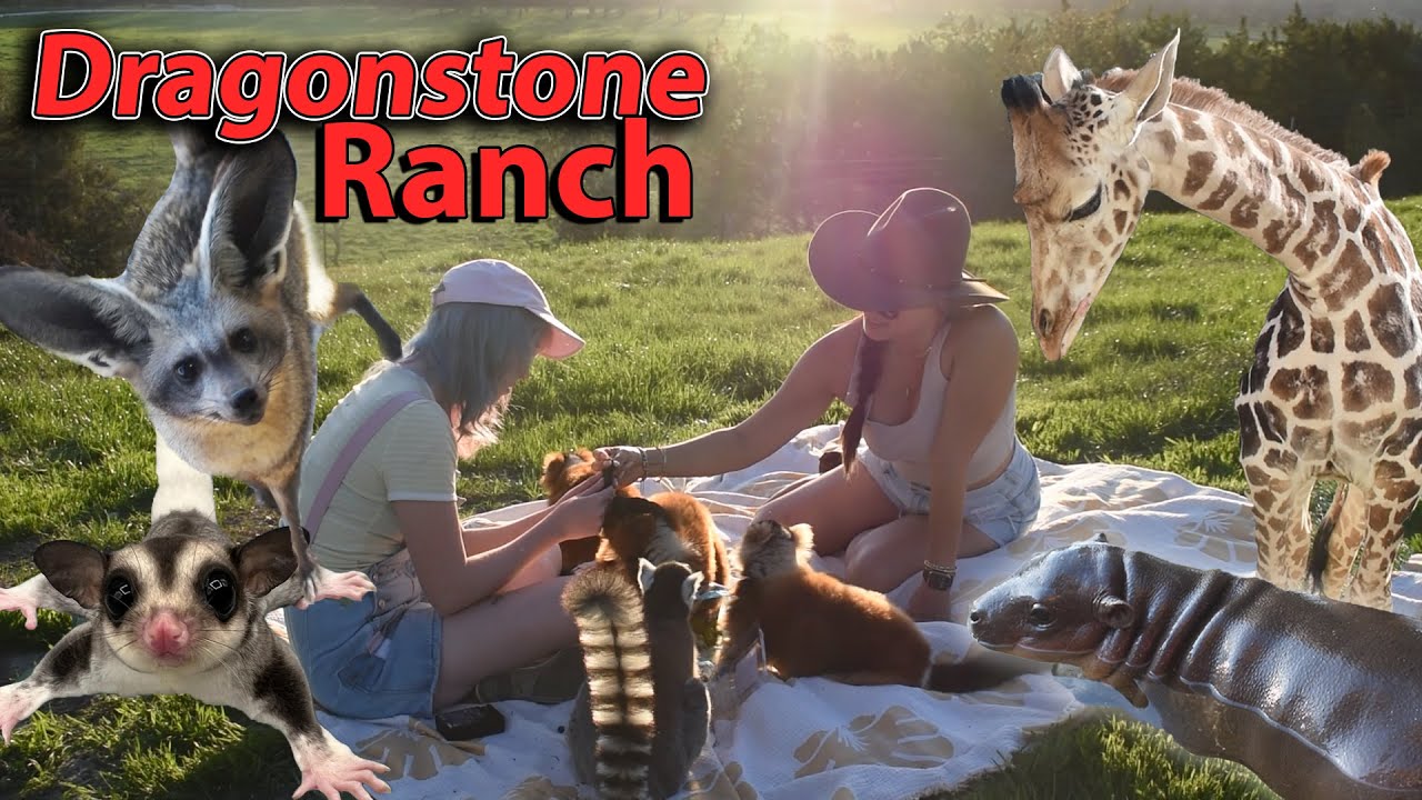 Meeting the Animals of DRAGONSTONE RANCH!