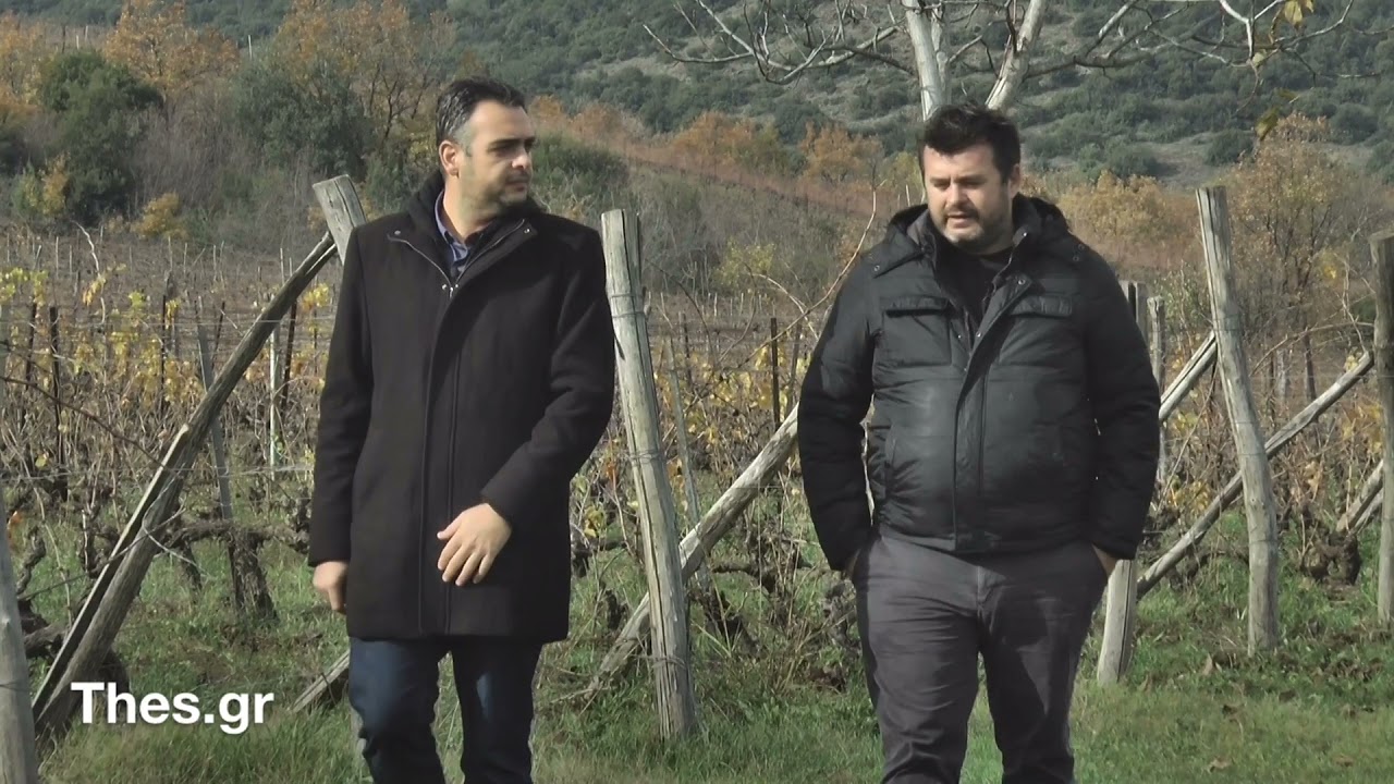 Οινοποιείο Θυμιόπουλος στη Νάουσα