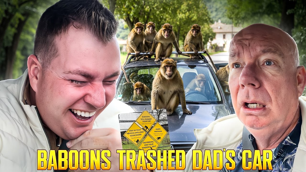 BABOONS TRASHED DAD’S CAR! 😱 Knowsley Safari Park Prank Gone Wild! Hilarious Dad Prank 😂 