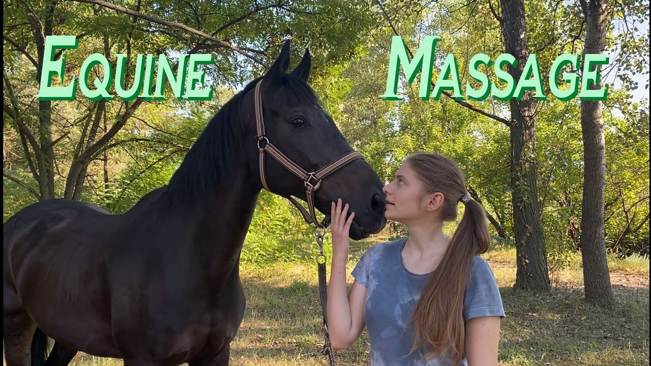 Equine Massage, Simple Techniques | LanaZavada