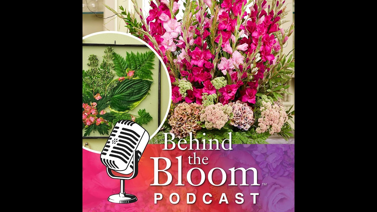 Episode 23 - Companion to Episode 