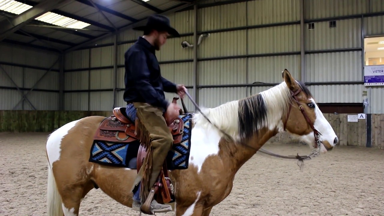 Teaching a Horse To Neck Rein !!