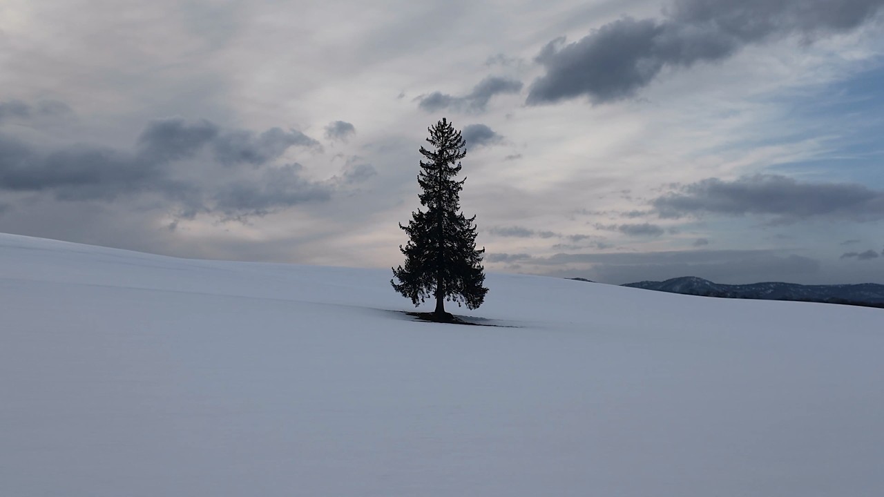 [DAY 7] 홋카이도 여행 - 신나는 비에이 후라노 버스 투어