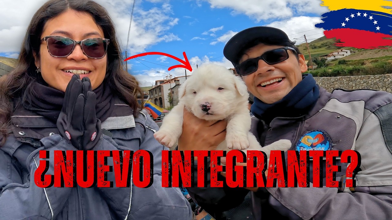 😳 VENEZUELA NOS SORPRENDE AS&Iacute; en el P&Aacute;RAMO | M&eacute;rida 🇻🇪 C274