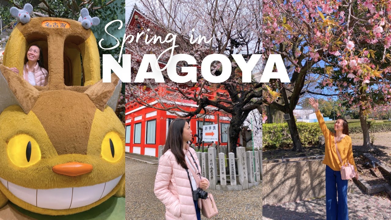 Spring in Nagoya 🌸 Early Cherry Blossoms, Studio Ghibli store, Shinkansen Bullet Train to Kyoto