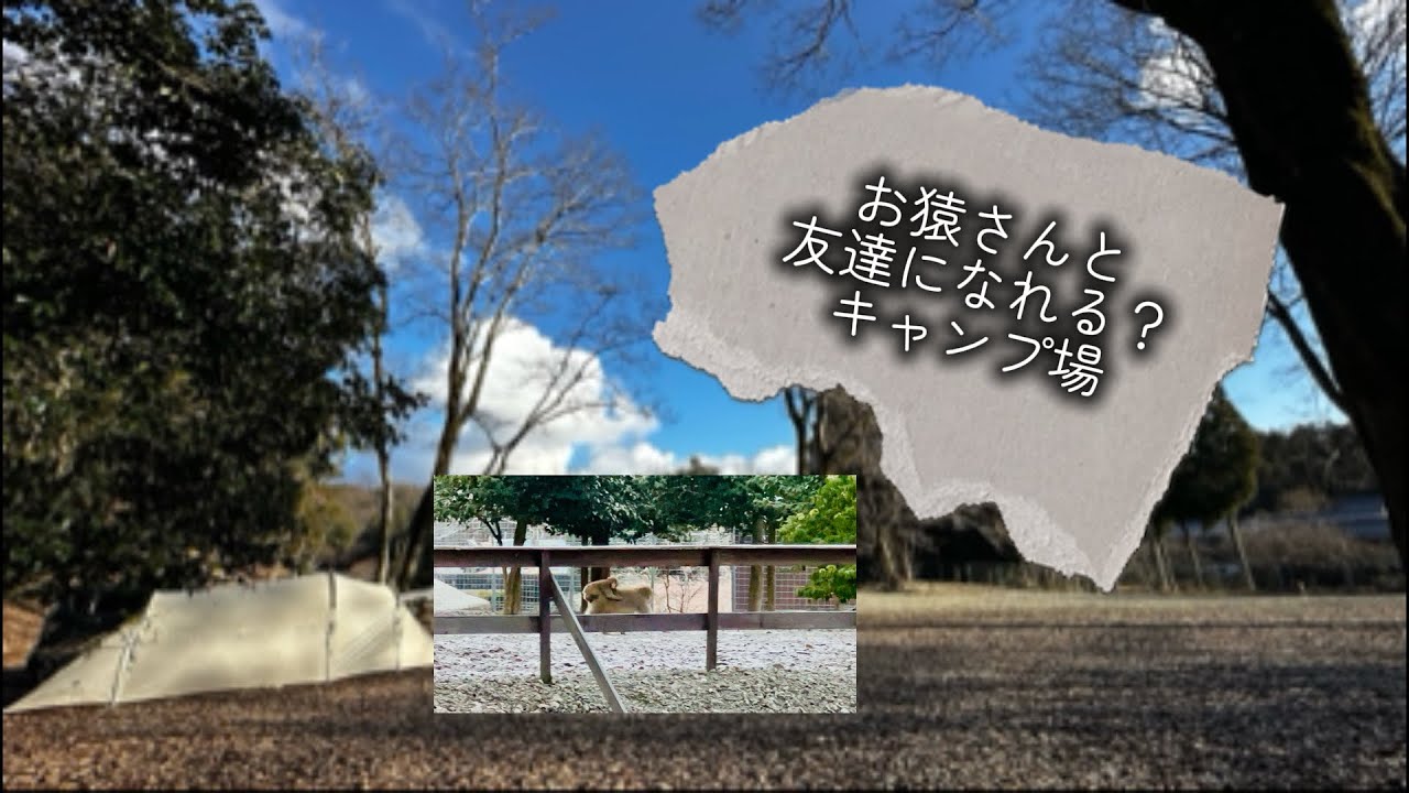 【女子ソロキャンひとり遊び】衝撃映像もあるよ！私のホームになったキャンプ場