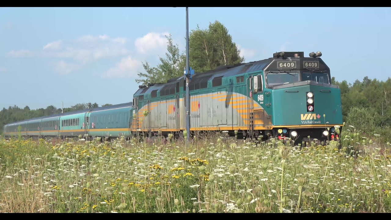 Horn Action ! ViaRail Train #15 The Ocean Stops in Sackville Aug 16 2024