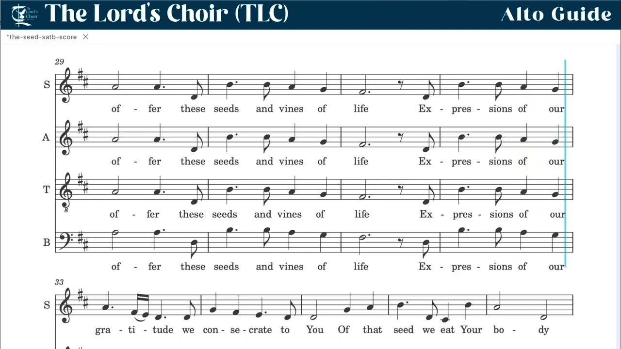 The Seed - Alto Guide | TLC Doha