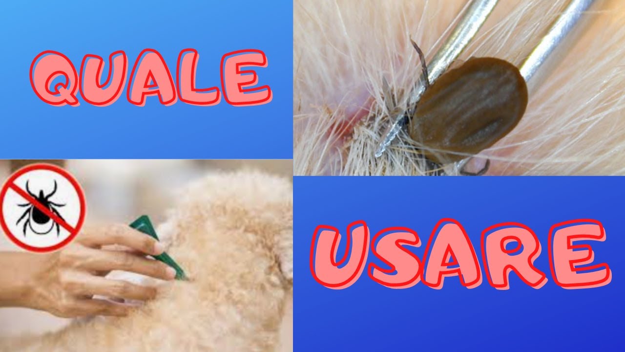 ANTIPARASSITARIO PER IL  CANE