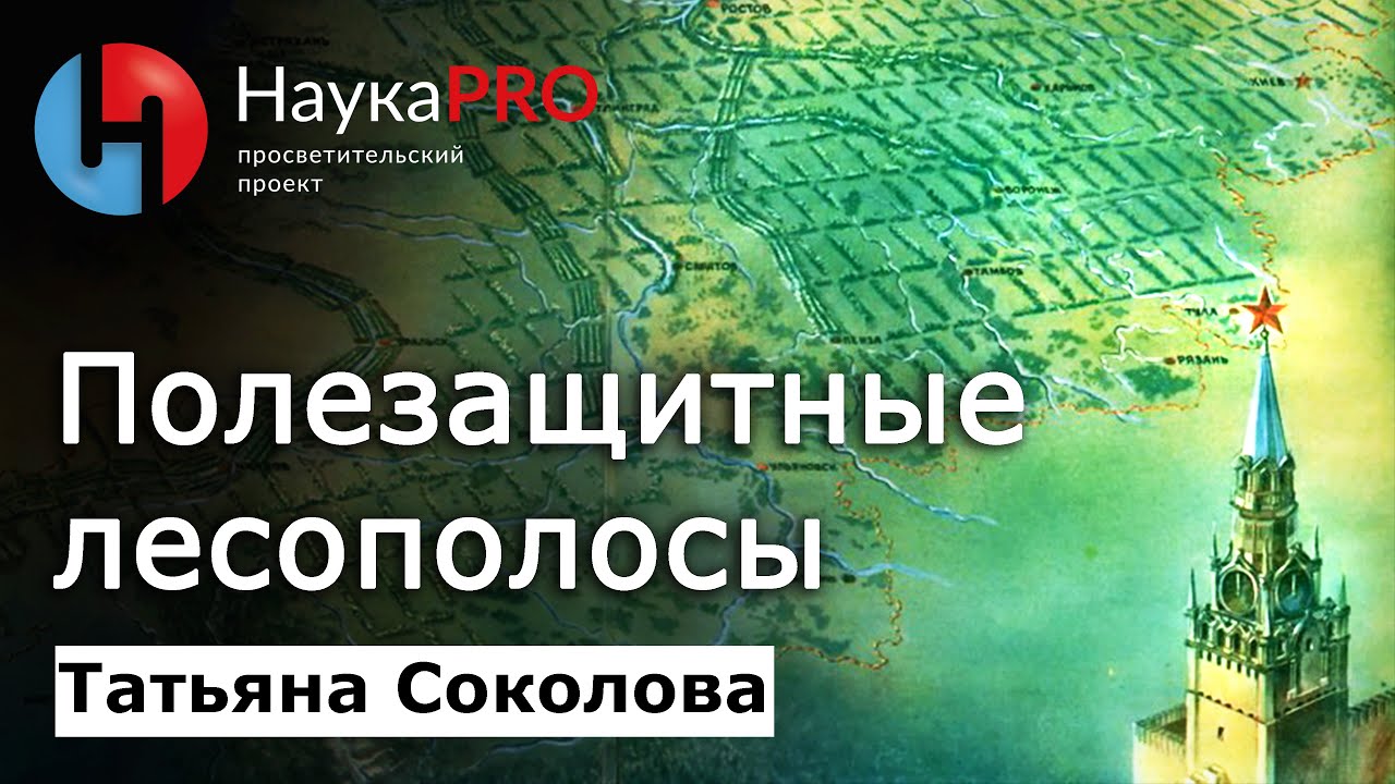Полезащитные лесополосы: история, значение, современное состояние – Татьяна Соколова | Научпоп