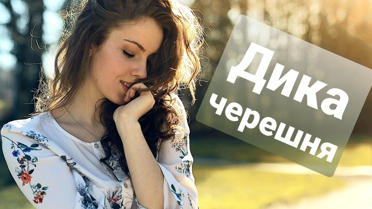 Дика черешня - Павло Доскоч