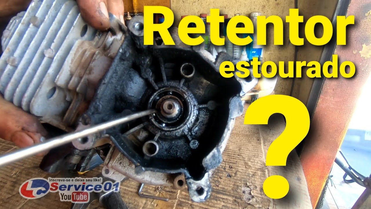 #tramontina33cc #Rocadeira2tempo Roçadeira tramontina 33cc como retentores estorados