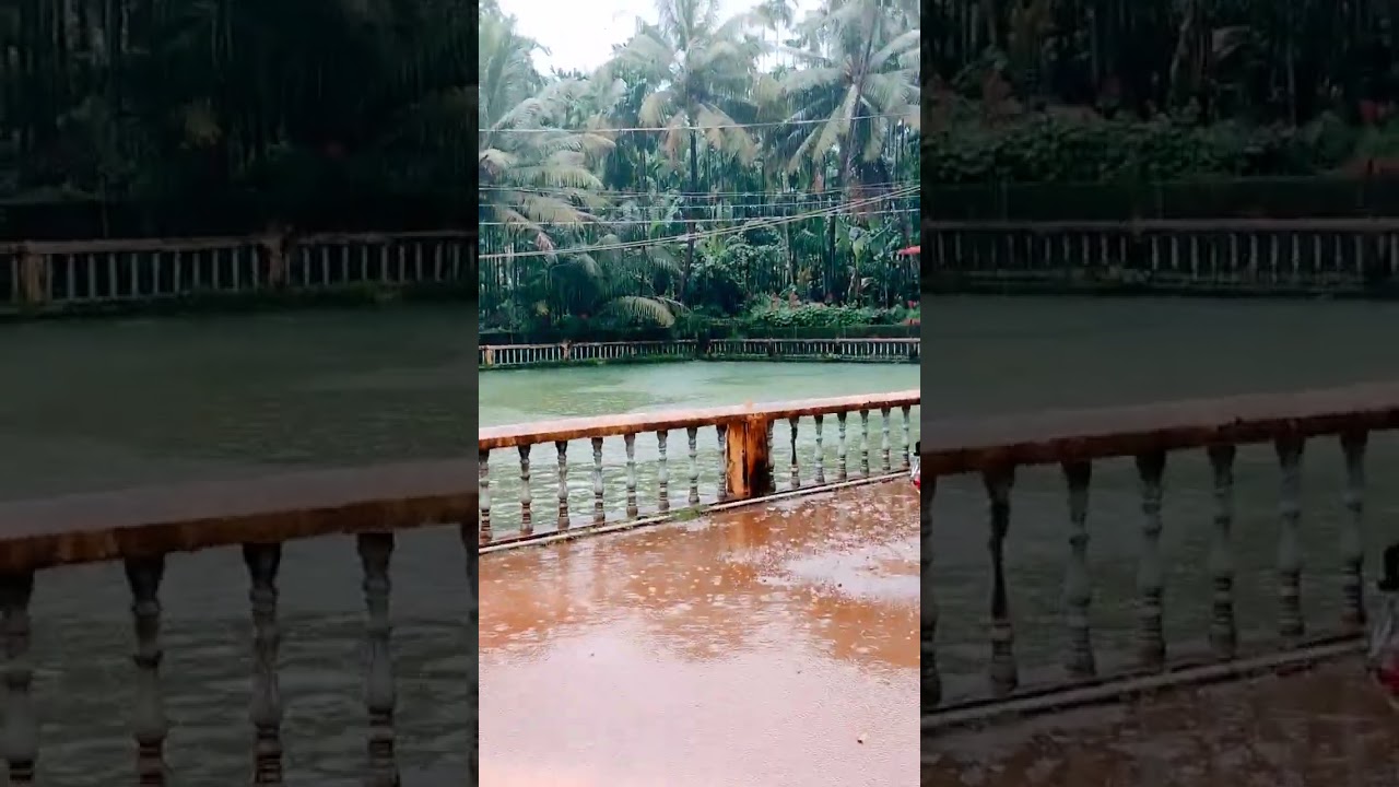 baaris me #karnatakamonsoonrains#nature#rainsounds #swimmingpool #baarish#karnatakarain#lovefeeling
