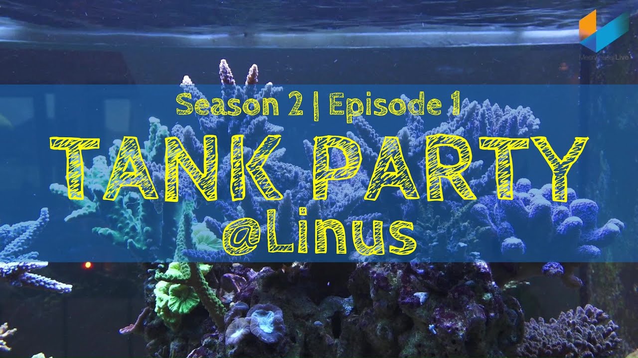 Season 2 Episode 1: Linus | TANK PARTY | Meerwasser Live TV