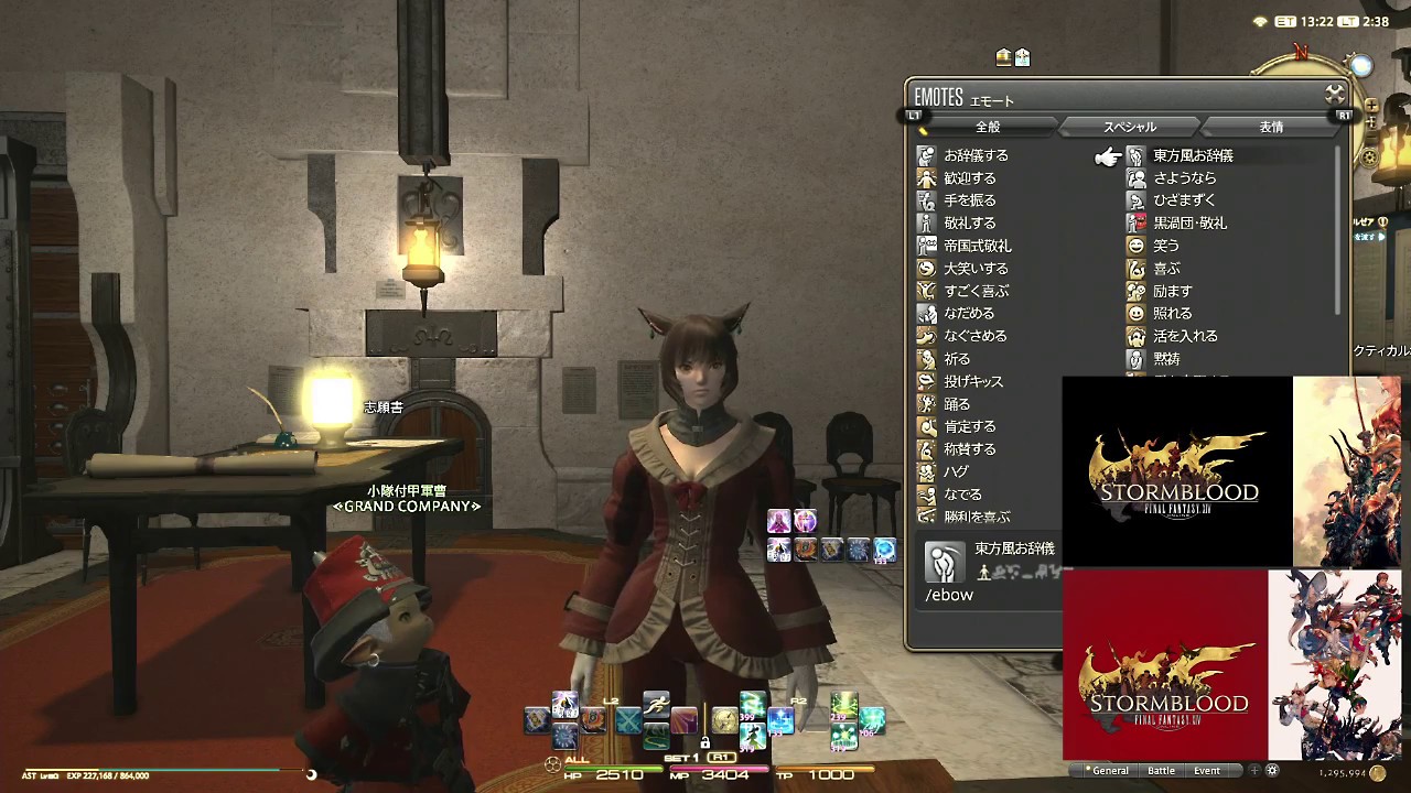 【FF14】おきらく女だらりん実況：小隊攻略任務