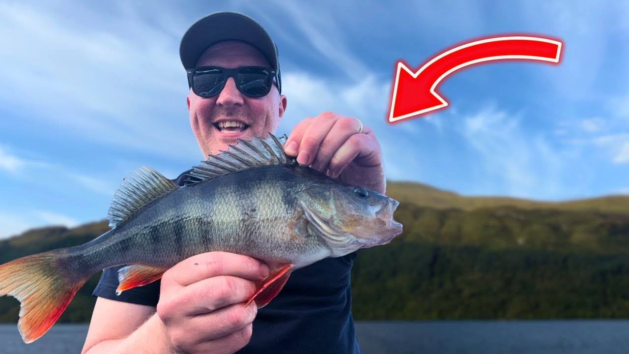 Fishing for Loch Lomond’s Predators!! BITE after BITE!!