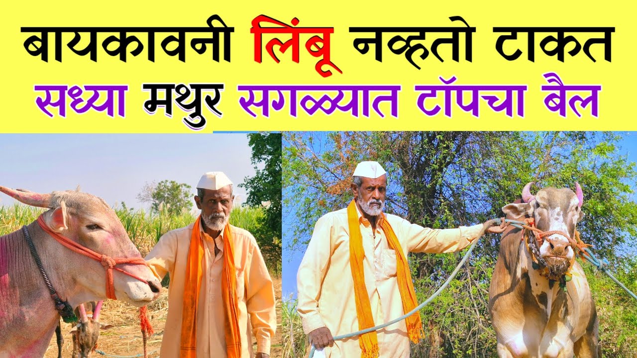 बबन दादा ची रोखठोक मुलाखत