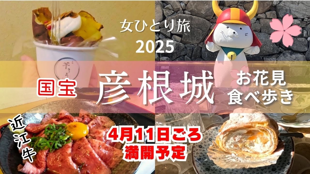 4/4撮影  2025年【女ひとり旅】🌸桜×城×食べ歩きで大満足な彦根城日帰り旅｜近江牛を食す｜