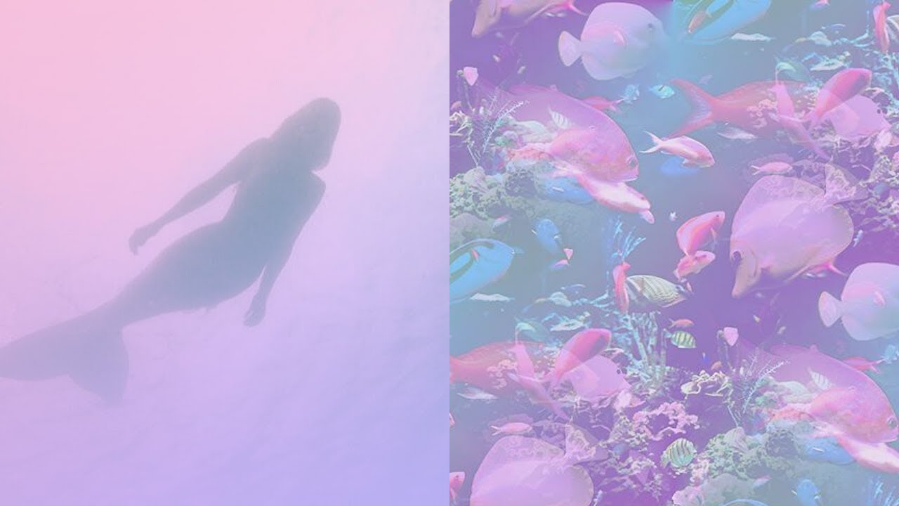 [𝐒𝐃𝐅] 