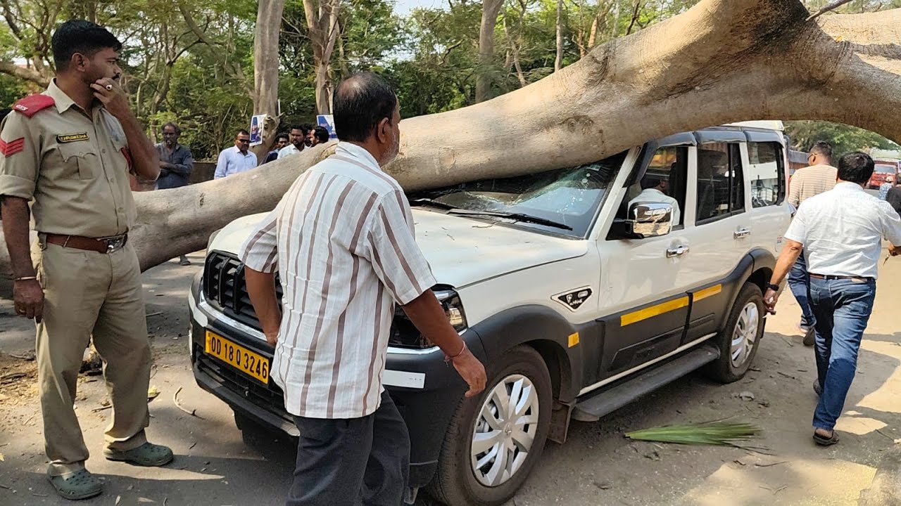 Rayagada: ଚଳନ୍ତା ଗାଡ଼ି ଉପରେ ପଡ଼ିଲା ଗଛ! Massive tree falls on moving car near Sai International. 