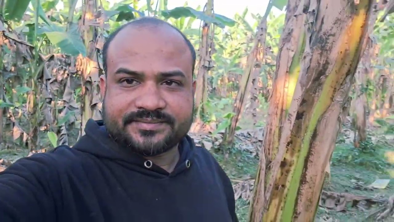 মধুমতি নদী 