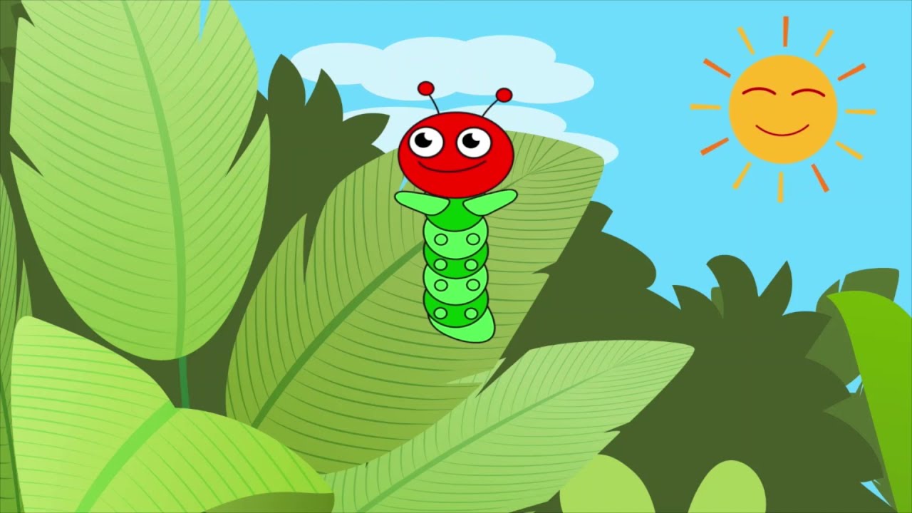 [30min.]The Very Hungry Caterpillar song harapeko aomushi はらぺこあおむしの歌