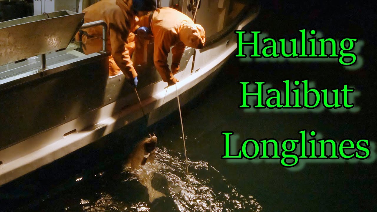Night Haul - Halibut Longlining | Fishing in the Gulf of Alaska